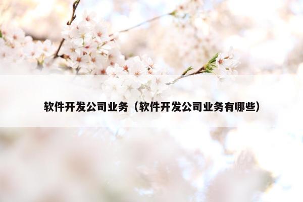 软件开发公司业务（软件开发公司业务有哪些）