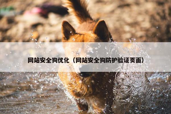 网站安全狗优化（网站安全狗防护验证页面）