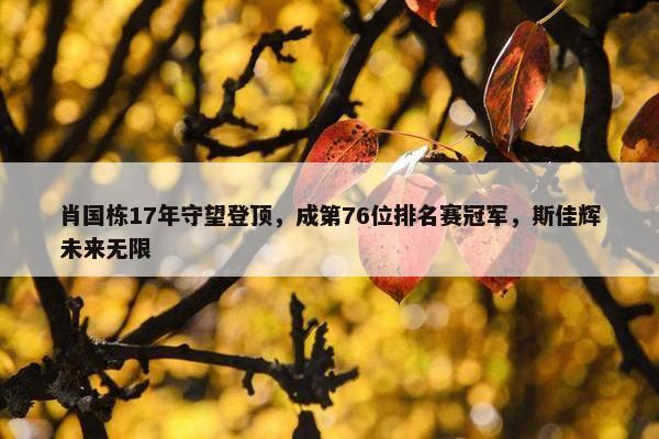 肖国栋17年守望登顶，成第76位排名赛冠军，斯佳辉未来无限