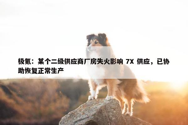 极氪：某个二级供应商厂房失火影响 7X 供应，已协助恢复正常生产