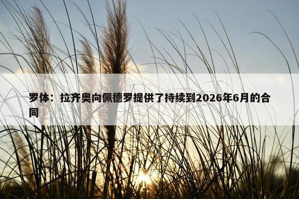 罗体：拉齐奥向佩德罗提供了持续到2026年6月的合同