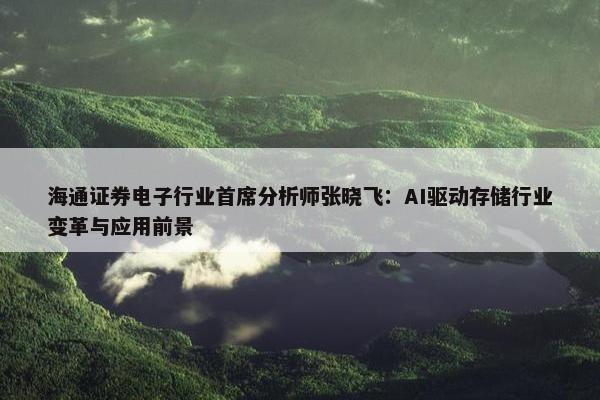 海通证券电子行业首席分析师张晓飞：AI驱动存储行业变革与应用前景