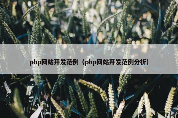 php网站开发范例（php网站开发范例分析）