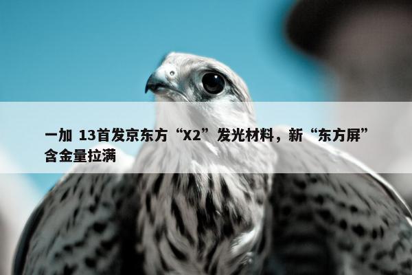 一加 13首发京东方“X2”发光材料，新“东方屏”含金量拉满