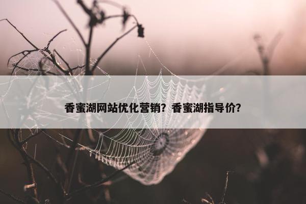 香蜜湖网站优化营销？香蜜湖指导价？