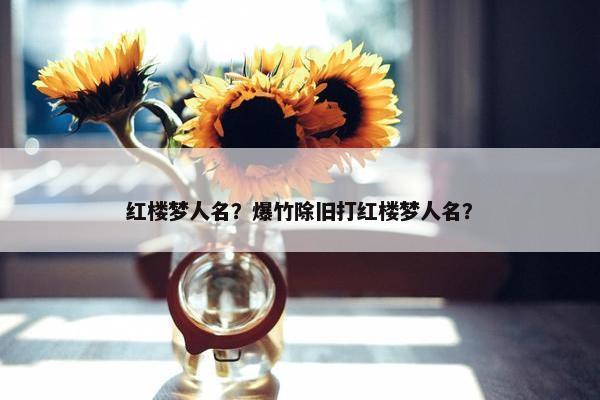 红楼梦人名？爆竹除旧打红楼梦人名？