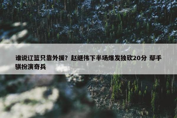 谁说辽篮只靠外援？赵继伟下半场爆发独砍20分 鄢手骐扮演奇兵