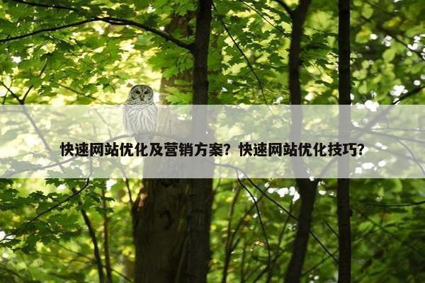 快速网站优化及营销方案？快速网站优化技巧？