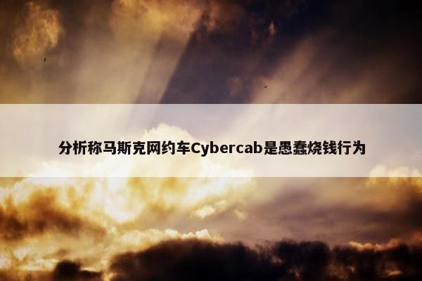 分析称马斯克网约车Cybercab是愚蠢烧钱行为