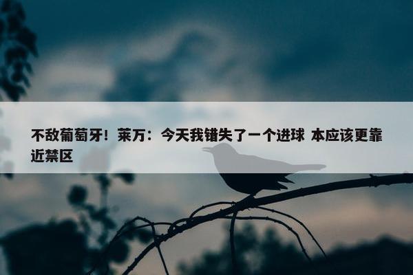 不敌葡萄牙！莱万：今天我错失了一个进球 本应该更靠近禁区