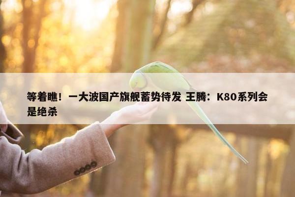 等着瞧！一大波国产旗舰蓄势待发 王腾：K80系列会是绝杀