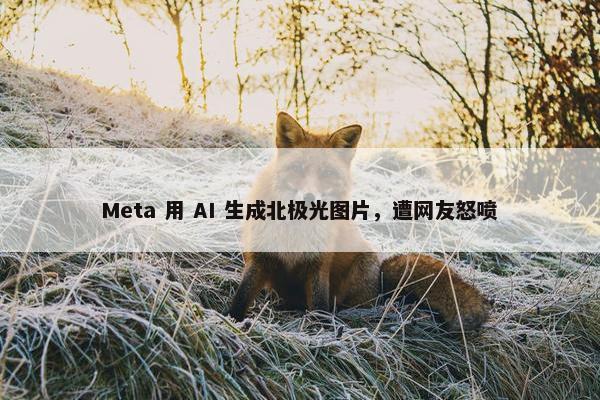 Meta 用 AI 生成北极光图片，遭网友怒喷