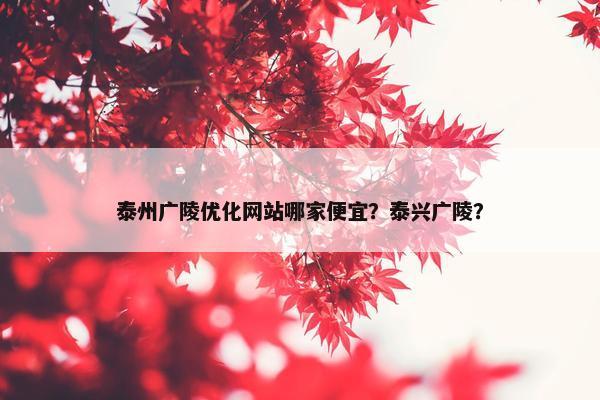 泰州广陵优化网站哪家便宜？泰兴广陵？