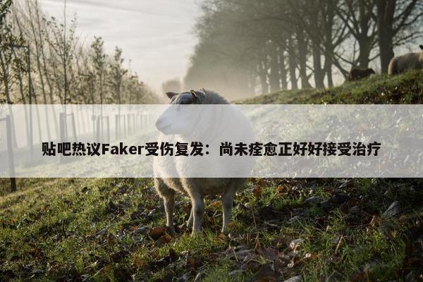 贴吧热议Faker受伤复发：尚未痊愈正好好接受治疗