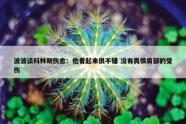 波波谈科林斯伤愈：他看起来很不错 没有畏惧肩部的受伤