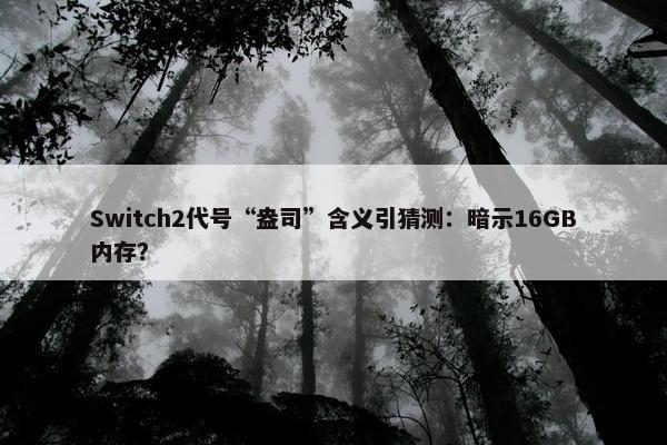 Switch2代号“盎司”含义引猜测：暗示16GB内存？