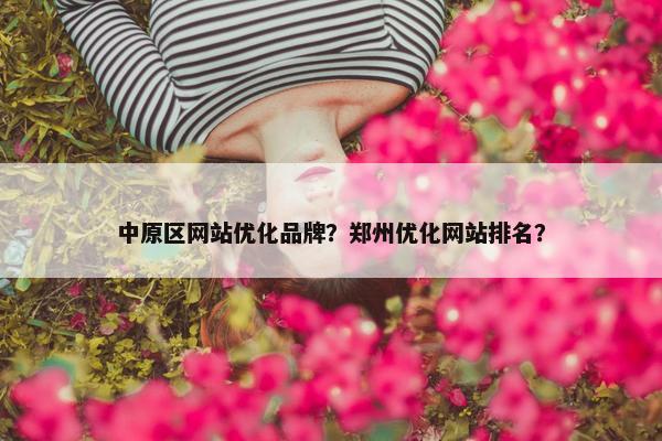 中原区网站优化品牌？郑州优化网站排名？