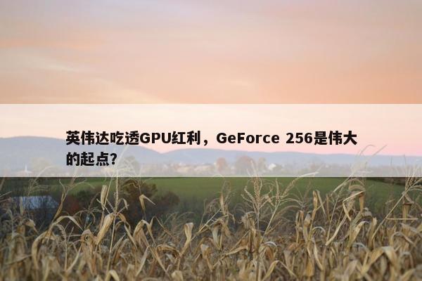 英伟达吃透GPU红利，GeForce 256是伟大的起点？