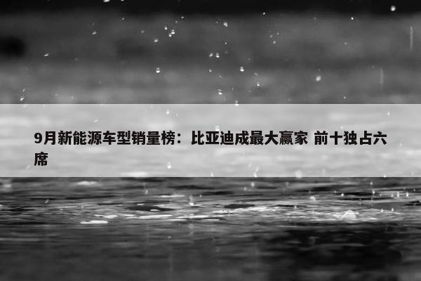 9月新能源车型销量榜：比亚迪成最大赢家 前十独占六席