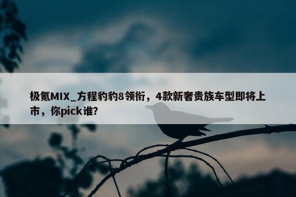 极氪MIX_方程豹豹8领衔，4款新奢贵族车型即将上市，你pick谁？