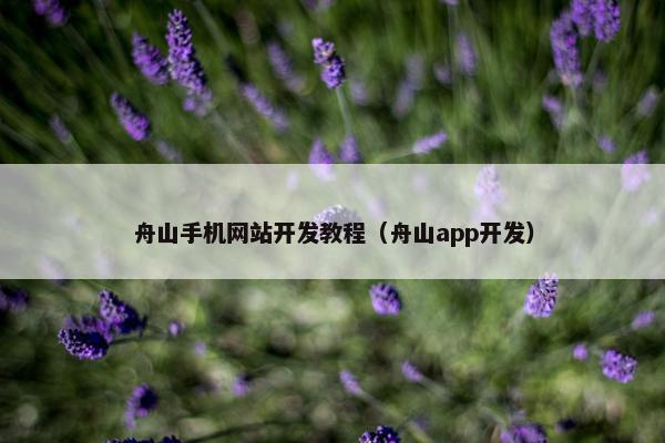 舟山手机网站开发教程（舟山app开发）