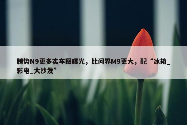 腾势N9更多实车图曝光，比问界M9更大，配“冰箱_彩电_大沙发”