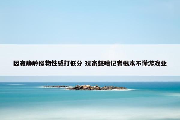 因寂静岭怪物性感打低分 玩家怒喷记者根本不懂游戏业