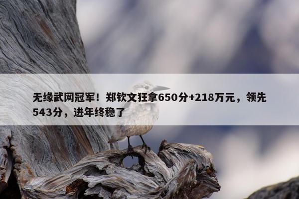 无缘武网冠军！郑钦文狂拿650分+218万元，领先543分，进年终稳了