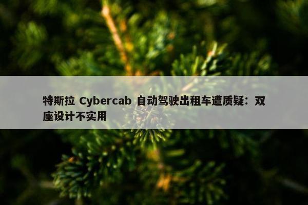 特斯拉 Cybercab 自动驾驶出租车遭质疑：双座设计不实用