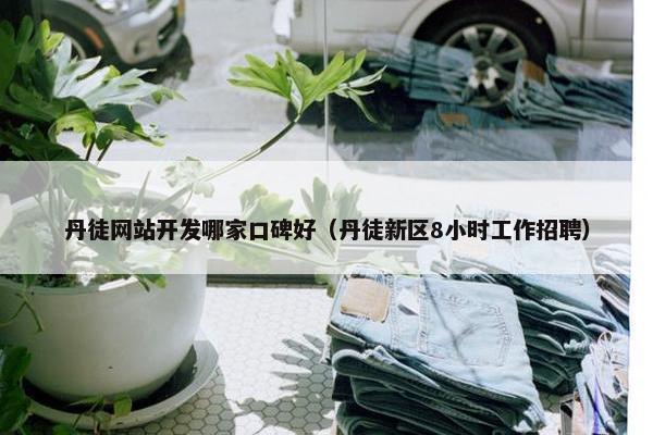 丹徒网站开发哪家口碑好（丹徒新区8小时工作招聘）