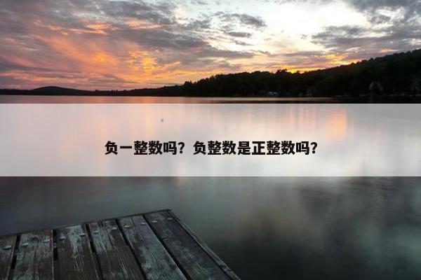 负一整数吗？负整数是正整数吗？