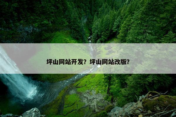 坪山网站开发？坪山网站改版？