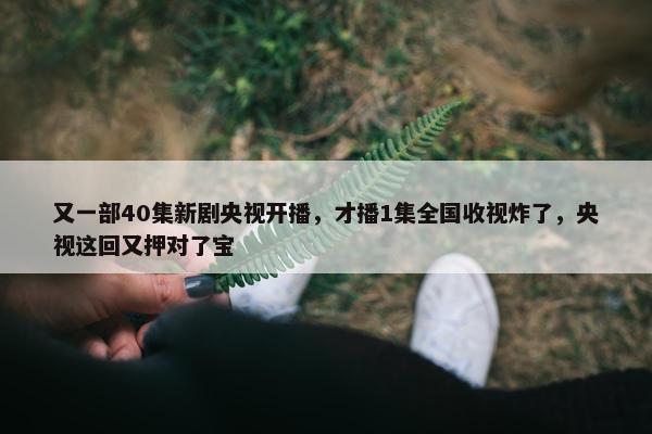 又一部40集新剧央视开播，才播1集全国收视炸了，央视这回又押对了宝