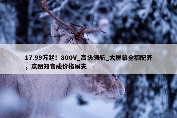 17.99万起！800V_高快领航_大屏幕全都配齐，岚图知音成价格屠夫