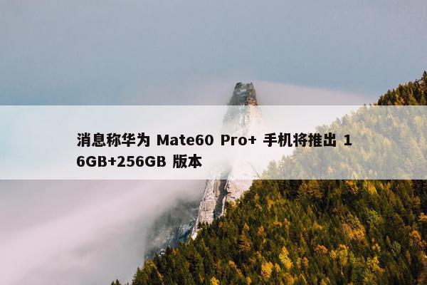 消息称华为 Mate60 Pro+ 手机将推出 16GB+256GB 版本