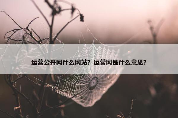 运营公开网什么网站？运营网是什么意思？