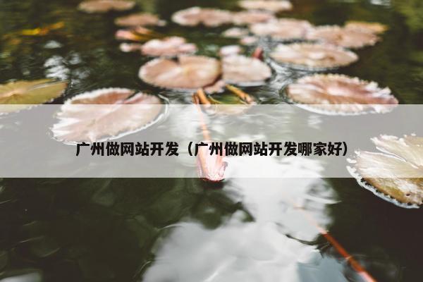 广州做网站开发（广州做网站开发哪家好）