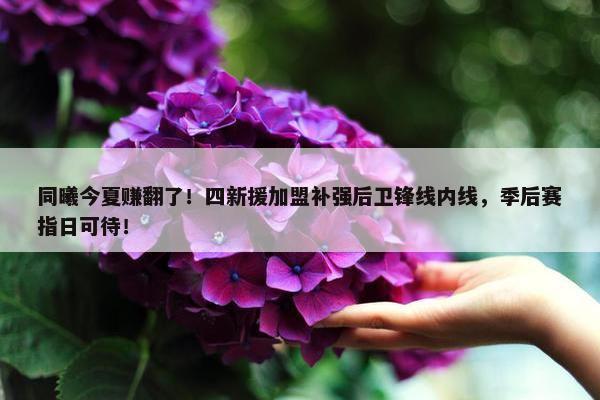 同曦今夏赚翻了！四新援加盟补强后卫锋线内线，季后赛指日可待！