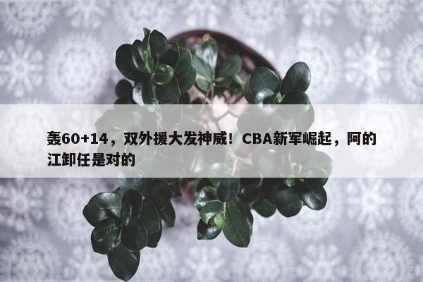 轰60+14，双外援大发神威！CBA新军崛起，阿的江卸任是对的