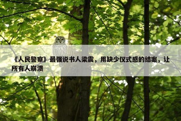 《人民警察》最强说书人梁震，用缺少仪式感的结案，让所有人崩溃