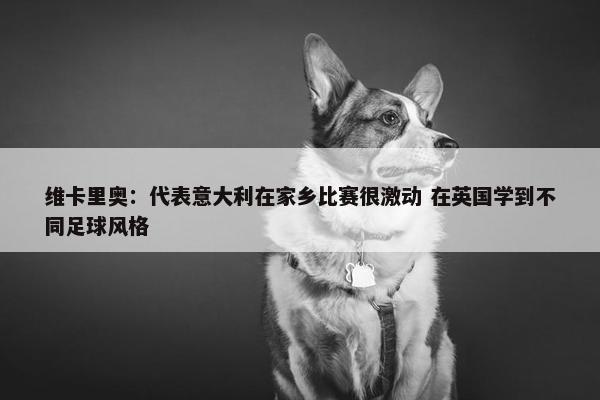 维卡里奥：代表意大利在家乡比赛很激动 在英国学到不同足球风格