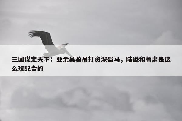 三国谋定天下：业余吴骑吊打资深蜀马，陆逊和鲁肃是这么玩配合的