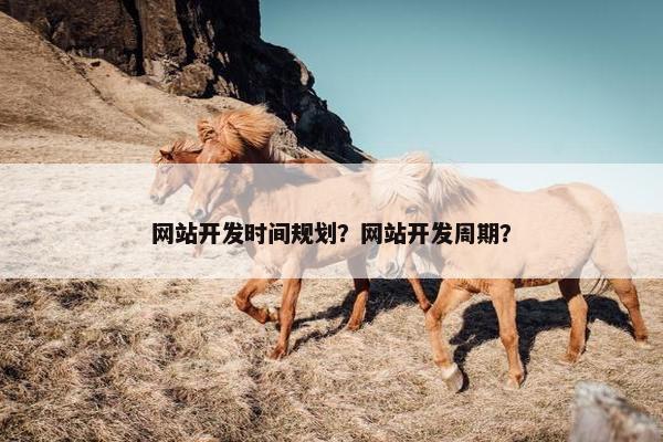 网站开发时间规划？网站开发周期？