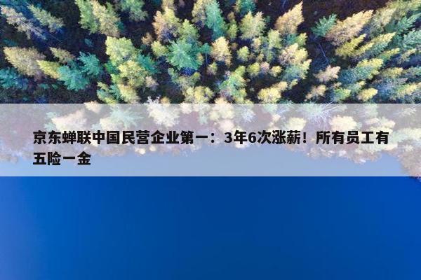 京东蝉联中国民营企业第一：3年6次涨薪！所有员工有五险一金