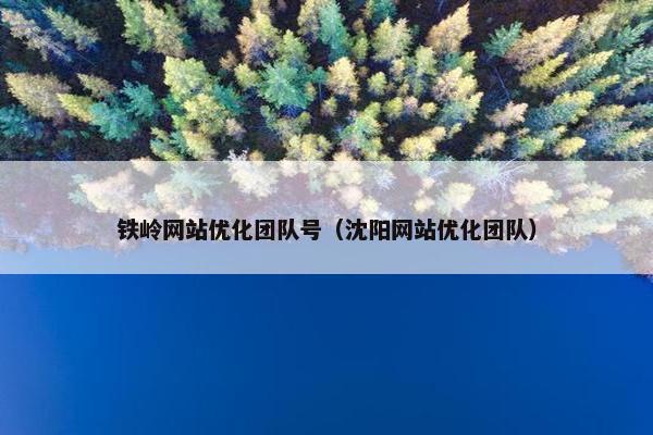 铁岭网站优化团队号（沈阳网站优化团队）