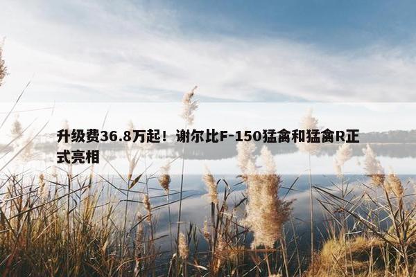 升级费36.8万起！谢尔比F-150猛禽和猛禽R正式亮相