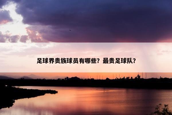 足球界贵族球员有哪些？最贵足球队？