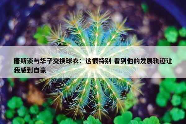 唐斯谈与华子交换球衣：这很特别 看到他的发展轨迹让我感到自豪