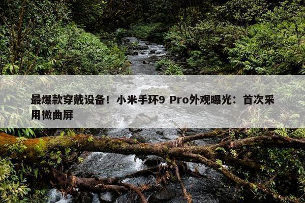 最爆款穿戴设备！小米手环9 Pro外观曝光：首次采用微曲屏