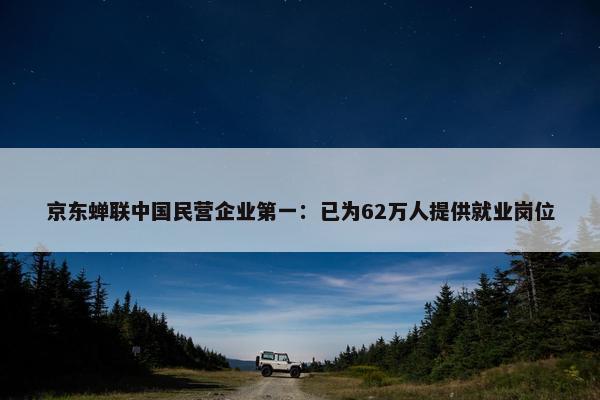 京东蝉联中国民营企业第一：已为62万人提供就业岗位